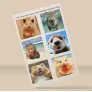 Furry Feelings - Вініловий Стікерпак А6 Furry Feelings - Вініловий Стікерпак А6