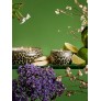 Voluspa Jardin De Verveine 113 г