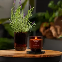 Свічка з базиліком і листям томатів Tomato leaf & basil RENEW Woodwick