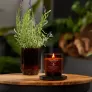 Свічка з базиліком і листям томатів Tomato leaf & basil RENEW Woodwick