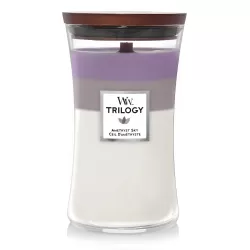 Ароматична свічка Woodwick Large Trilogy Amethyst Sky 609 г