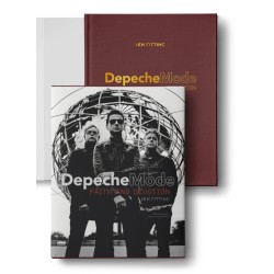 Ієн Ґіттінс - «Depeche Mode: Faith & Devotion»